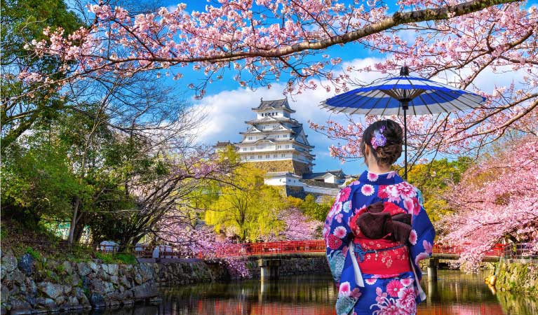 Japan & Korea Packages